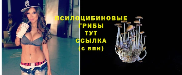 кристаллы Дмитровск