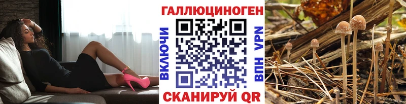 Галлюциногенные грибы Cubensis  Окуловка 